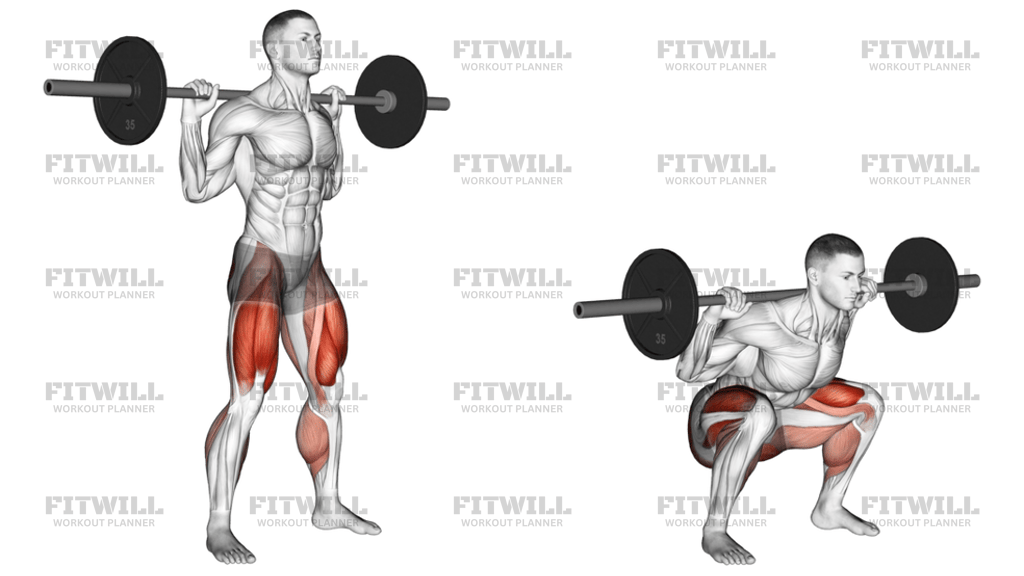 Barbell Olympic Squat