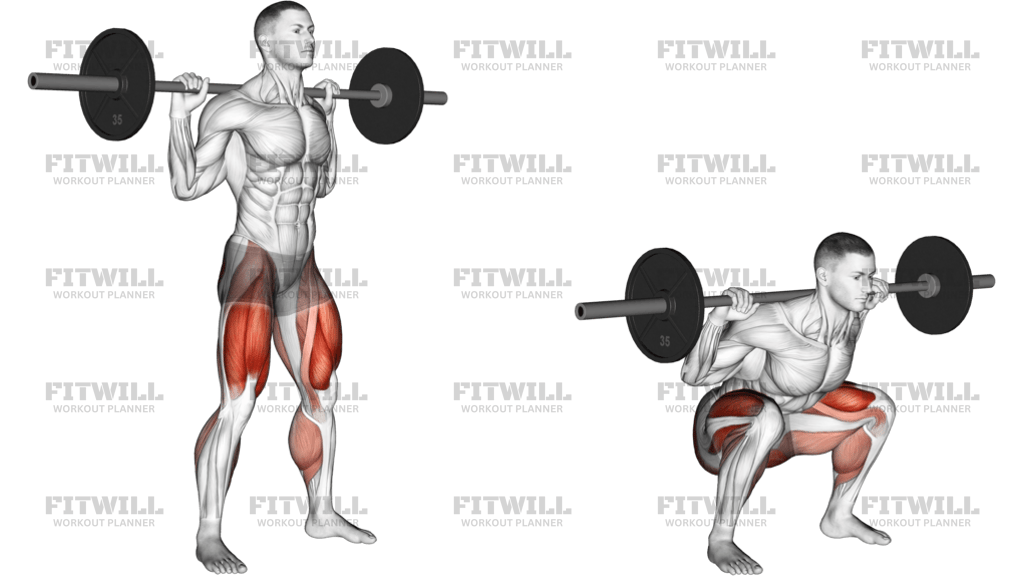 Barbell Olympic Squat