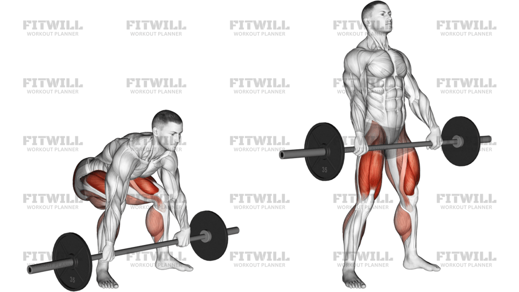 Barbell Snatch Deadlift