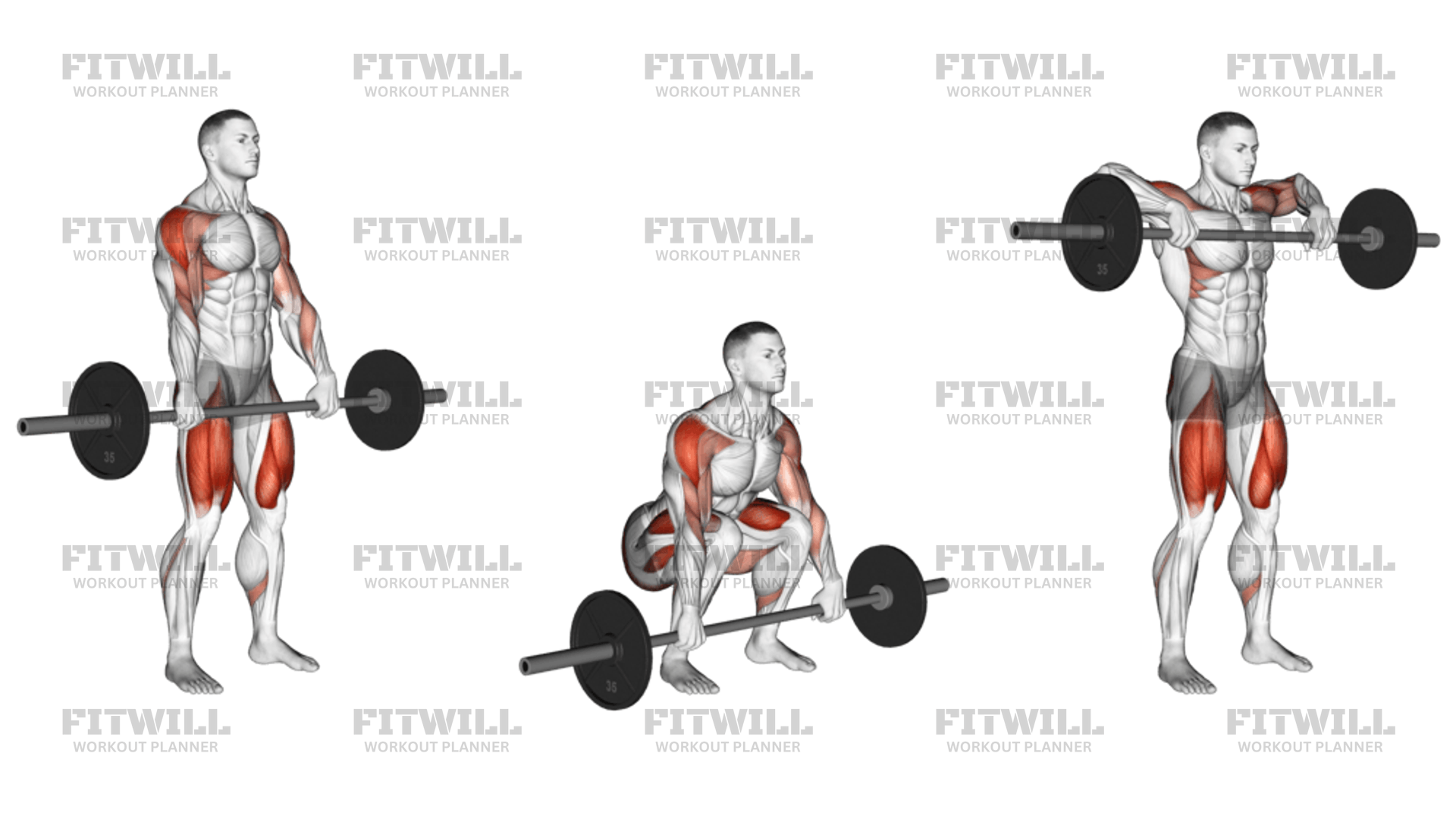 Barbell Squat To Upright Row Exercise Guide Techniques Benefits How to Muscles Worked Tips Tricks Fitwill
