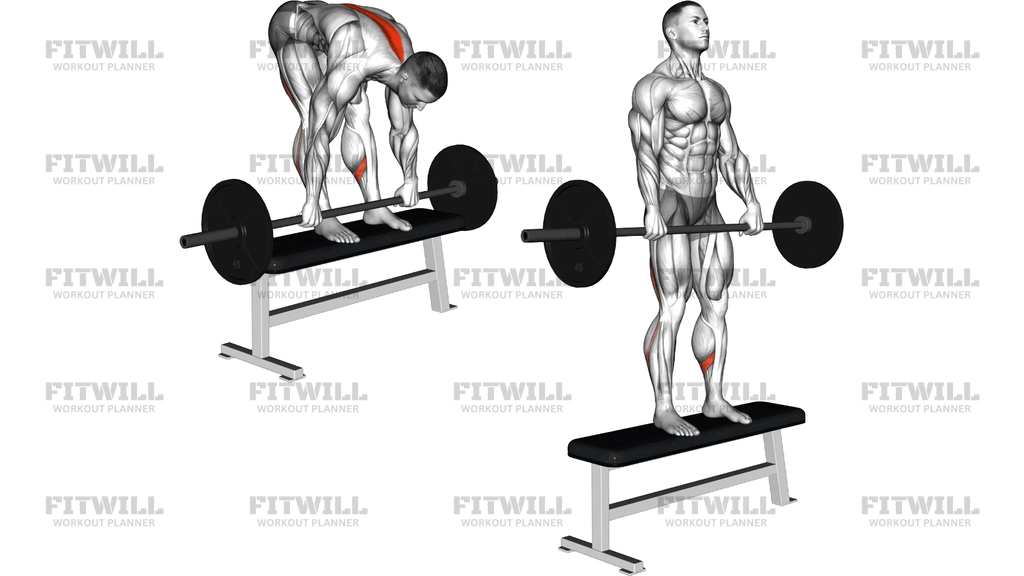 Barbell Stiff Leg Deadlift On Bench