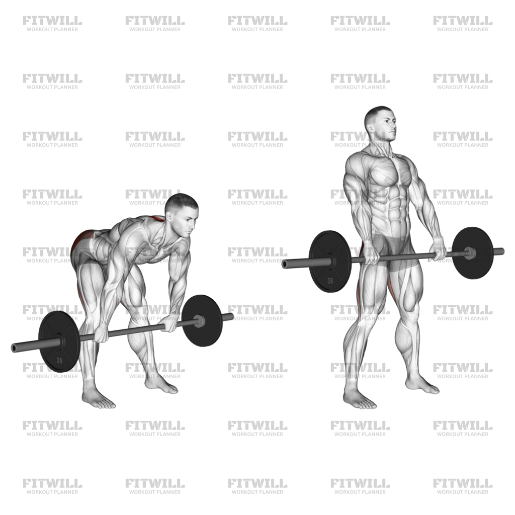 Barbell Wide Stance Stiff Leg Deadlift Exercise Guide Techniques Benefits How to Muscles Worked Tips Tricks Fitwill