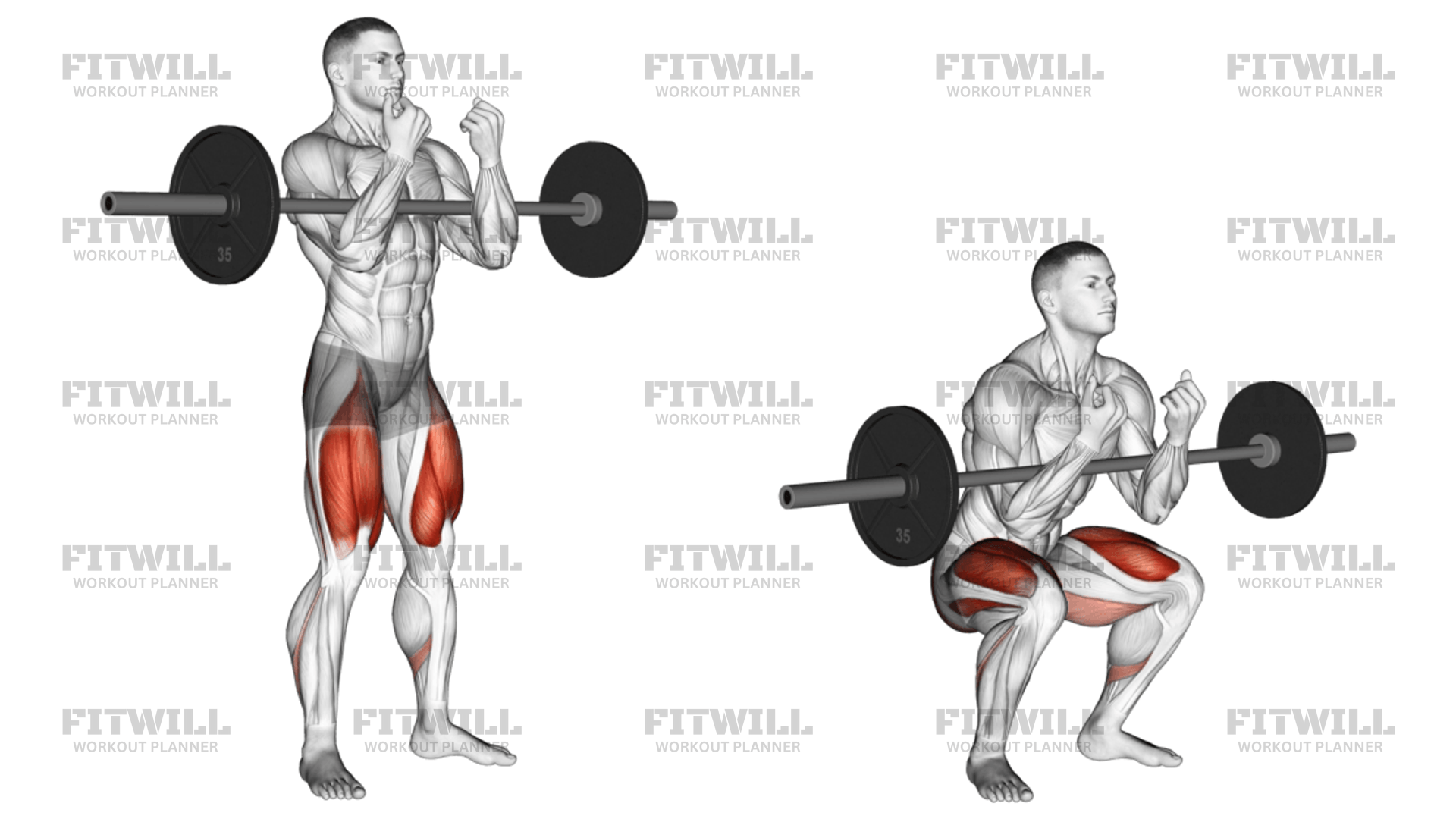 Barbell Full Zercher Squat Exercise Guide Video Techniques Benefits How to Muscles Worked Tips Tricks Fitwill