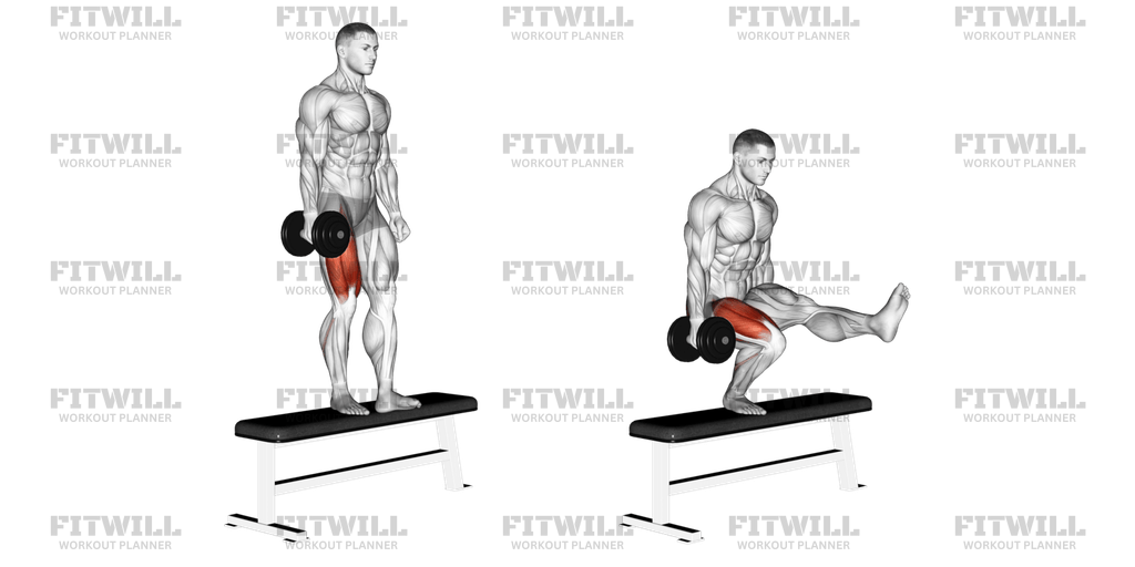 Dumbbell Bench One Leg Squat Exercise Guide Techniques Benefits How to Muscles Worked Tips Tricks Fitwill