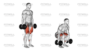 Dumbbell Squat