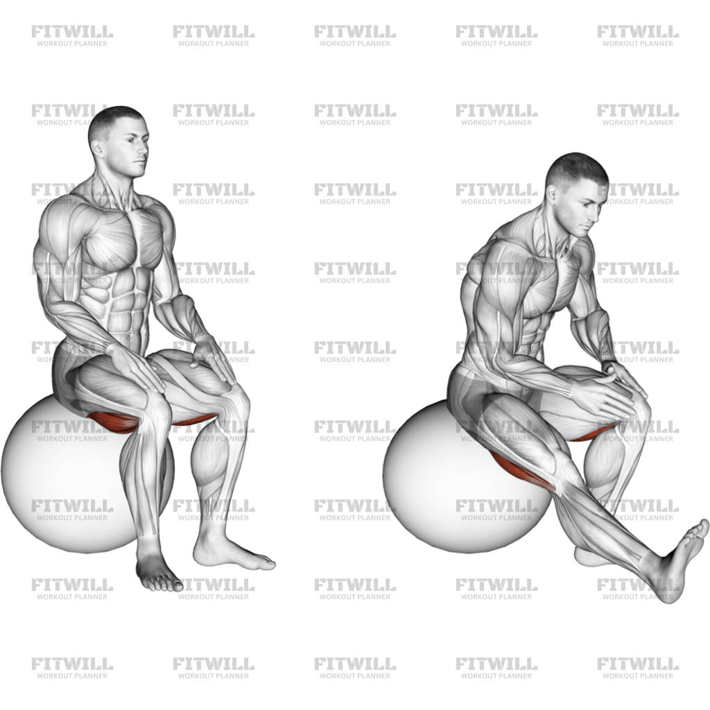 Exercise Ball Seated Hamstring Stretch: Exercise Guide, Techniques ...