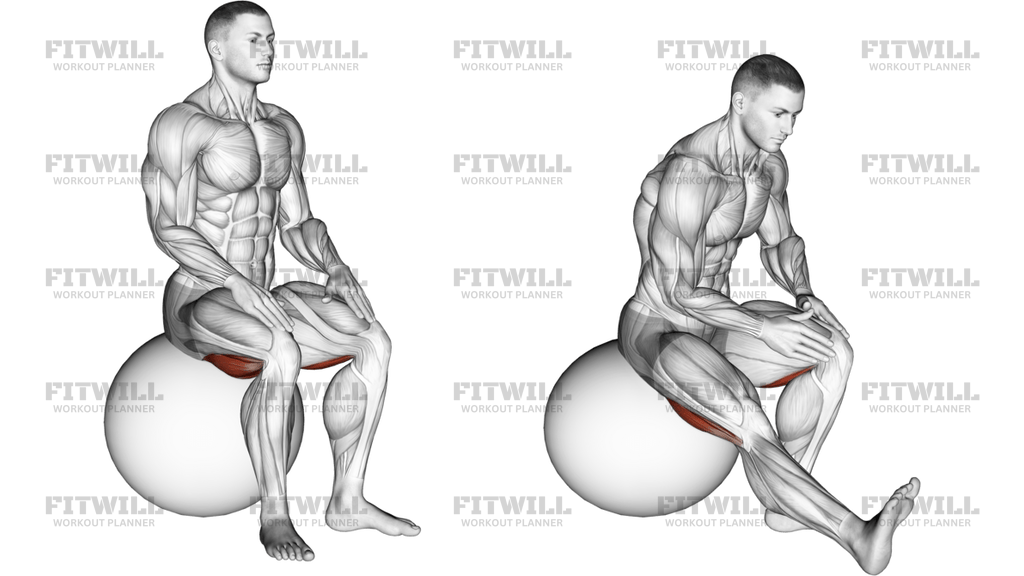 Exercise Ball Seated Hamstring Stretch
