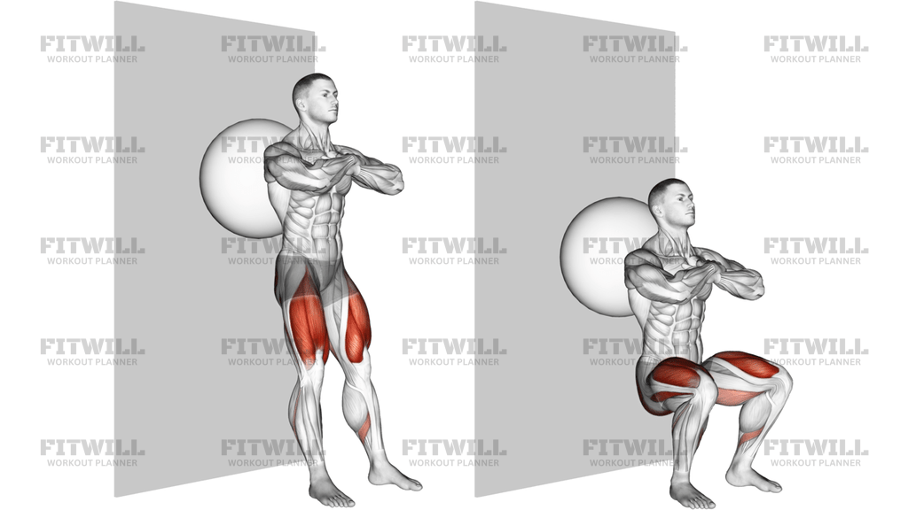 Exercise Ball Wall Squat