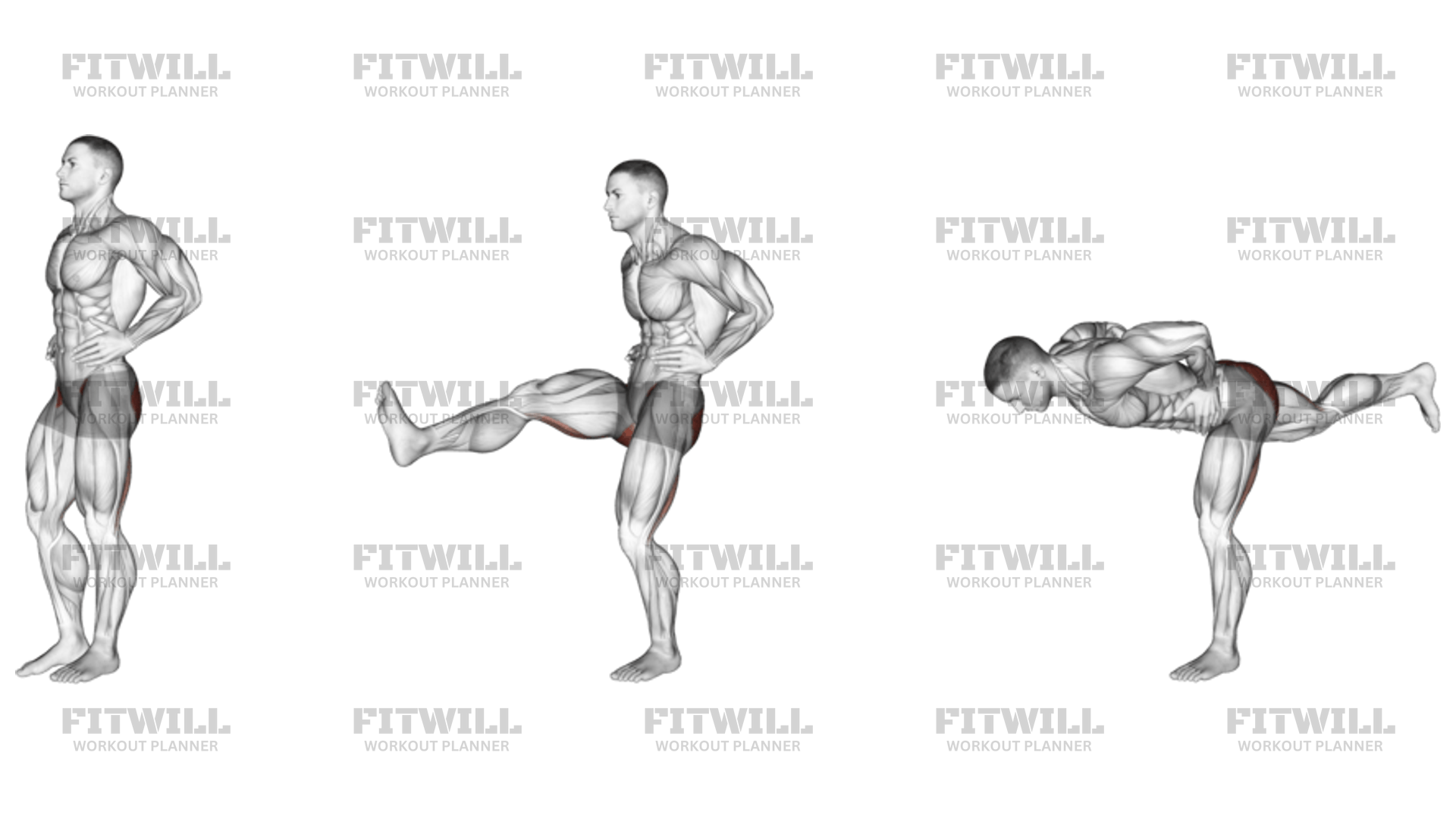 Elevaciones Frontales Y Posteriores De Piernas: Guía de Ejercicios ...