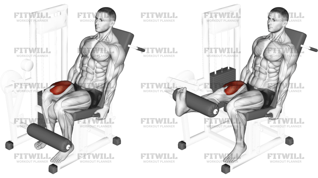 Lever One Leg Extension