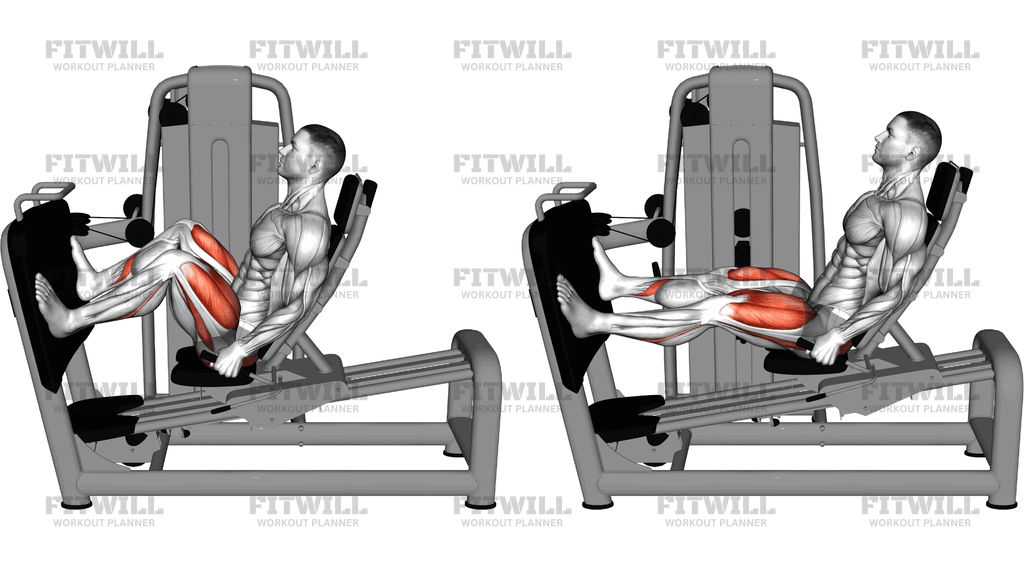Lever Seated Wide Squat