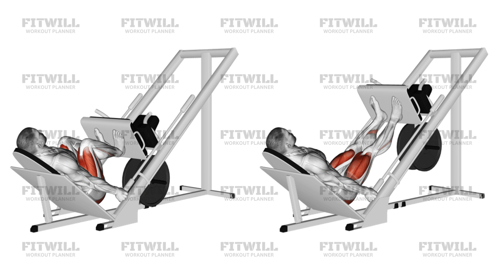 Sled 45 Narrow Stance Leg Press Exercise Video Fitwill