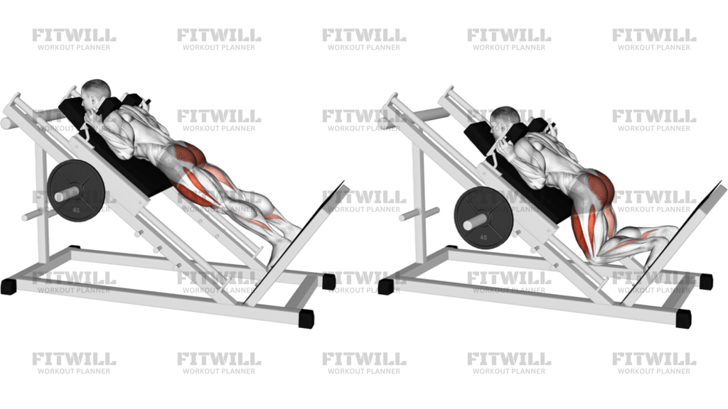 Sled Reverse Hack Squat