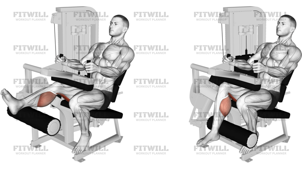 Lever Seated One Leg Curl Right Side