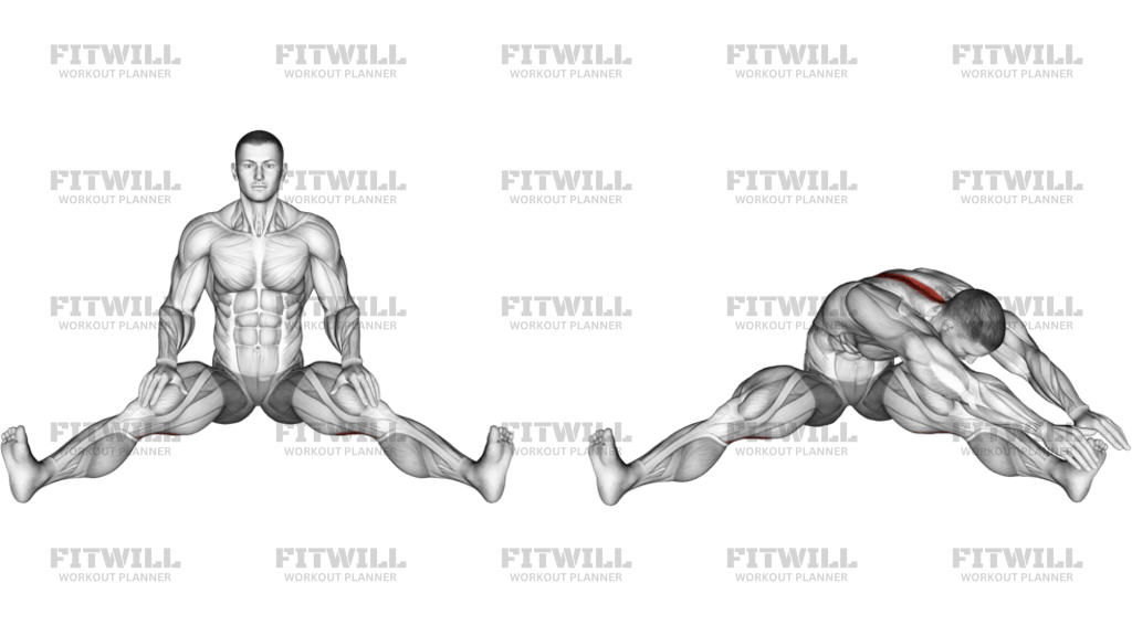 Seated Wide Angle Pose Sequence