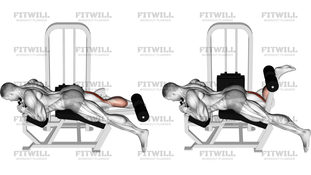 Lever Lying Single Leg Curl