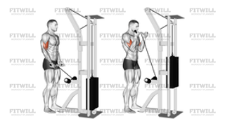Cable EZ-Bar Biceps Curl