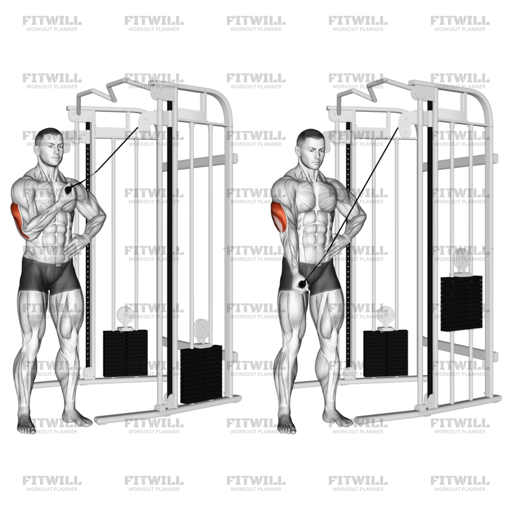 Cable One Arm Side Triceps Pushdown Exercise Video Fitwill