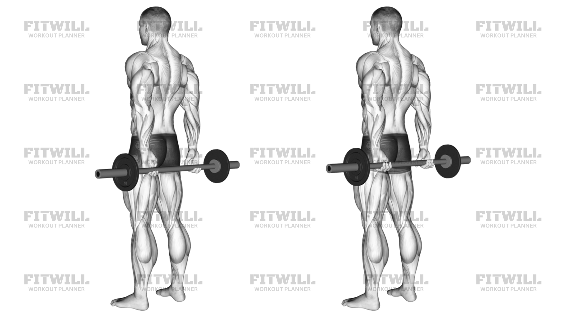 Back curls workout hotsell