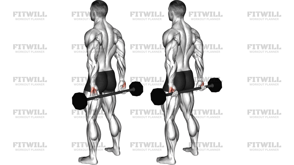 Barbell Behind Back Finger Curl