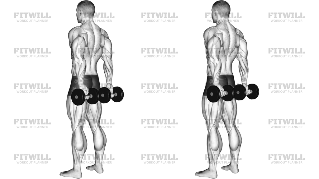 Bicepsový Zdvih S Jednoručkami Za Zády