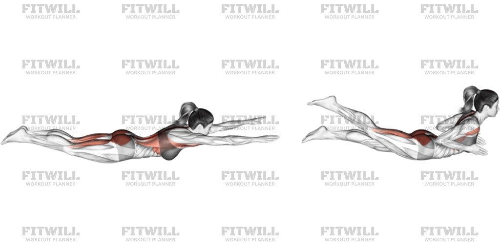 Swimmer: Exercise Guide, Techniques, Benefits, How to, Muscles Worked ...