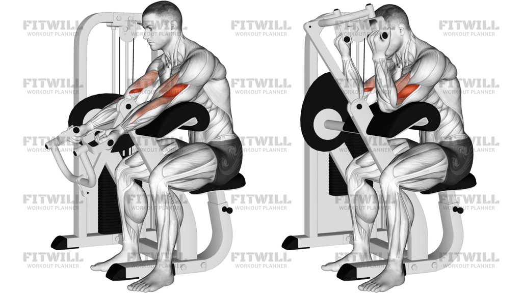 Lever Preacher Curl Version 2