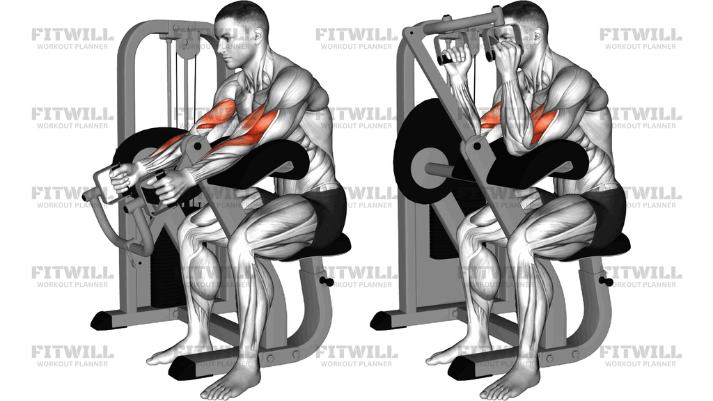 Lever Hammer Grip Preacher Curl