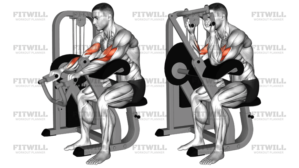 Lever Reverse-Grip Preacher Curl
