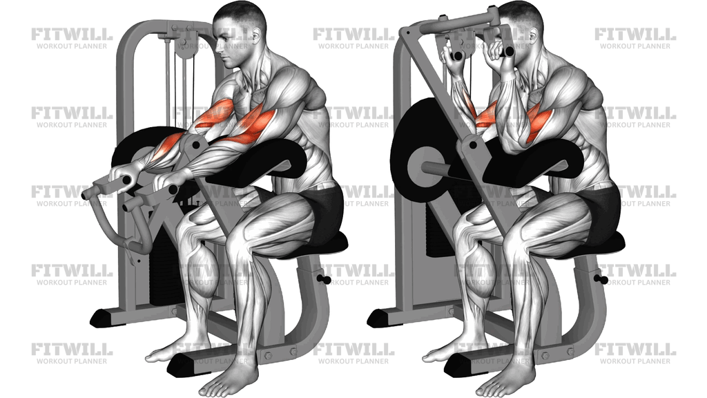 Lever Reverse-Grip Preacher Curl