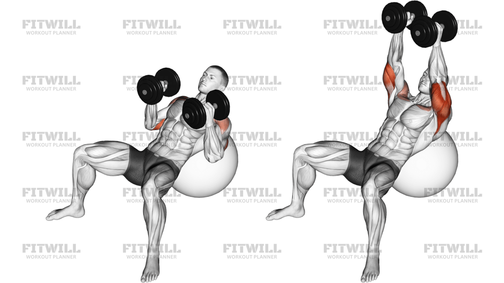 Dumbbell Incline Hammer Press On Exercise Ball