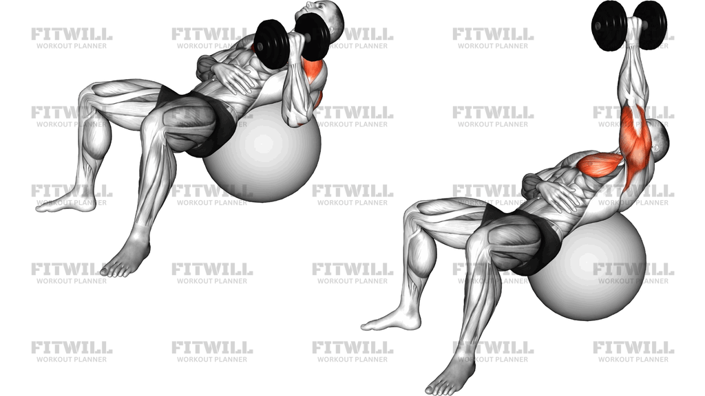 Dumbbell Incline One-Arm Hammer Press On Exercise Ball