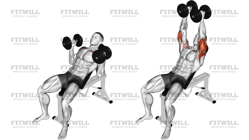 Dumbbell Palms In Incline Bench Press