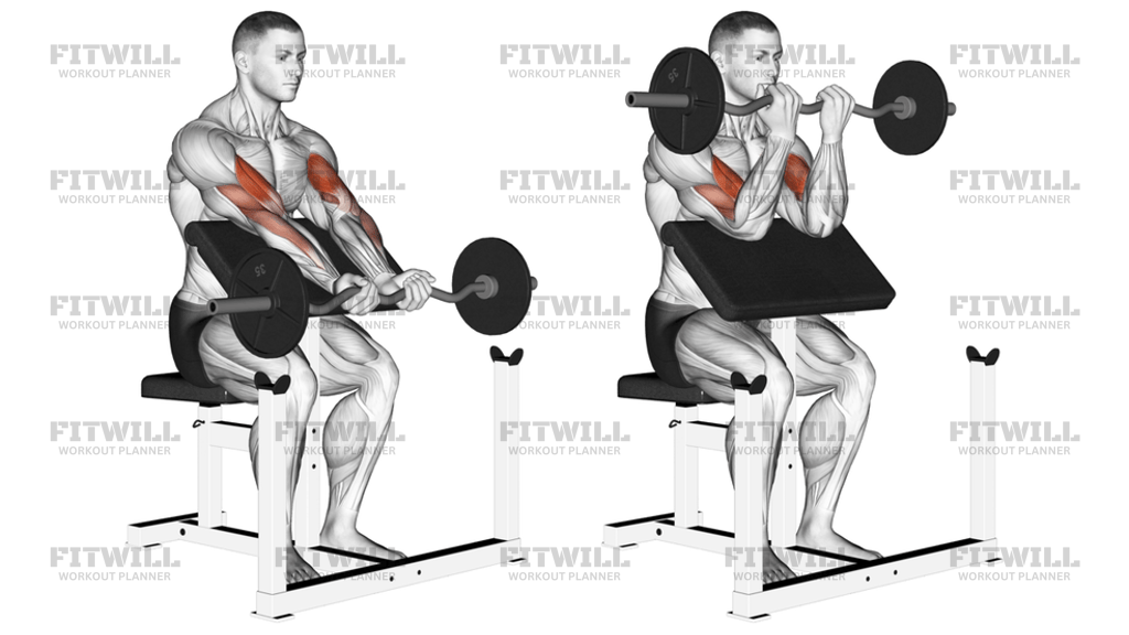 EZ Barbell Close-Grip Preacher Curl