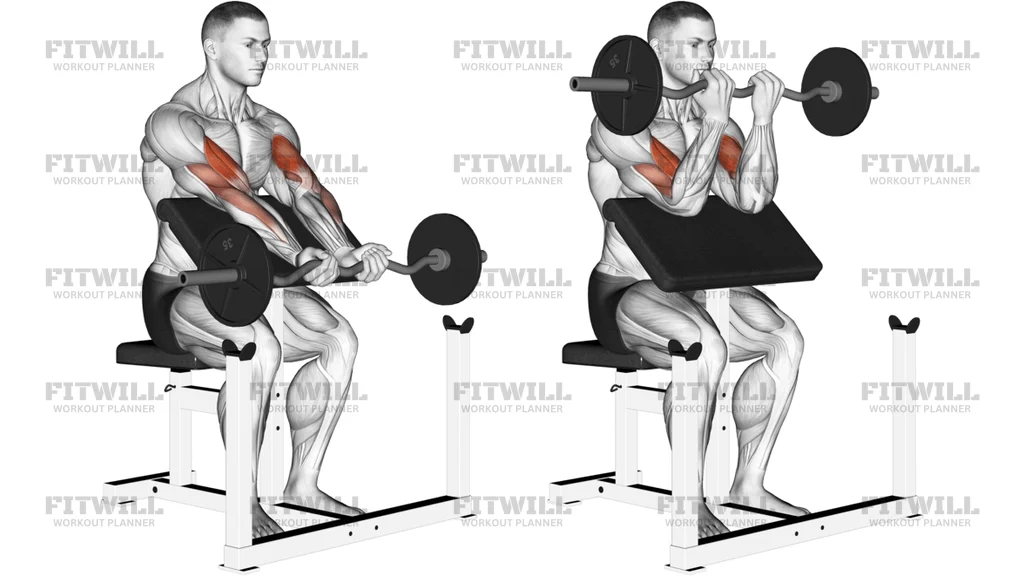 EZ Barbell Close-Grip Preacher Curl