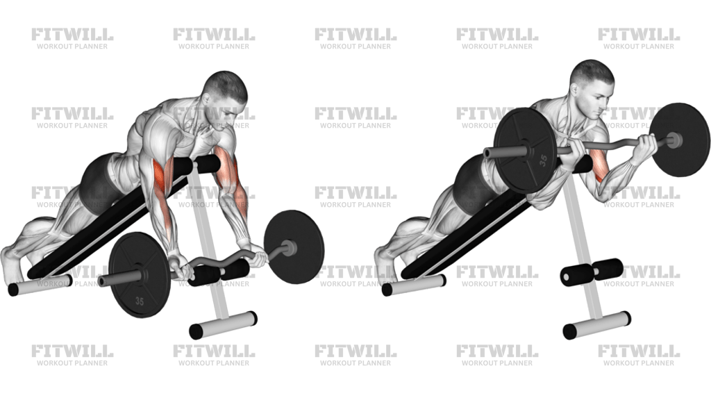 EZ Barbell Spider Curl