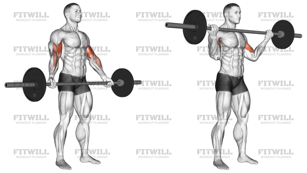Barbell Standing Wide-Grip Biceps Curl
