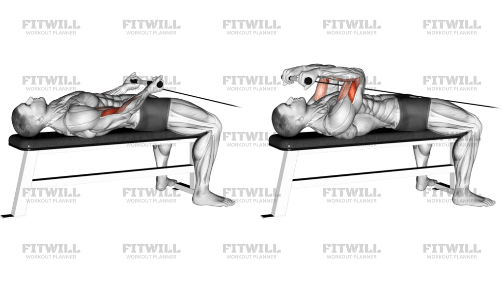 Cable Lying Bicep Curl