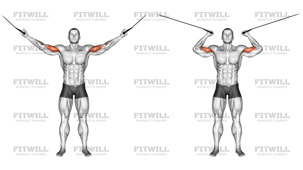 Cable Overhead Curl