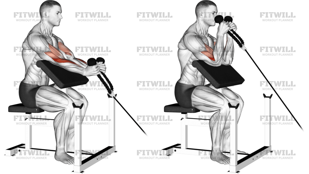 Cable Rope Hammer Preacher Curl