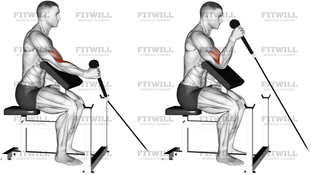 Cable Rope One-Arm Hammer Preacher Curl