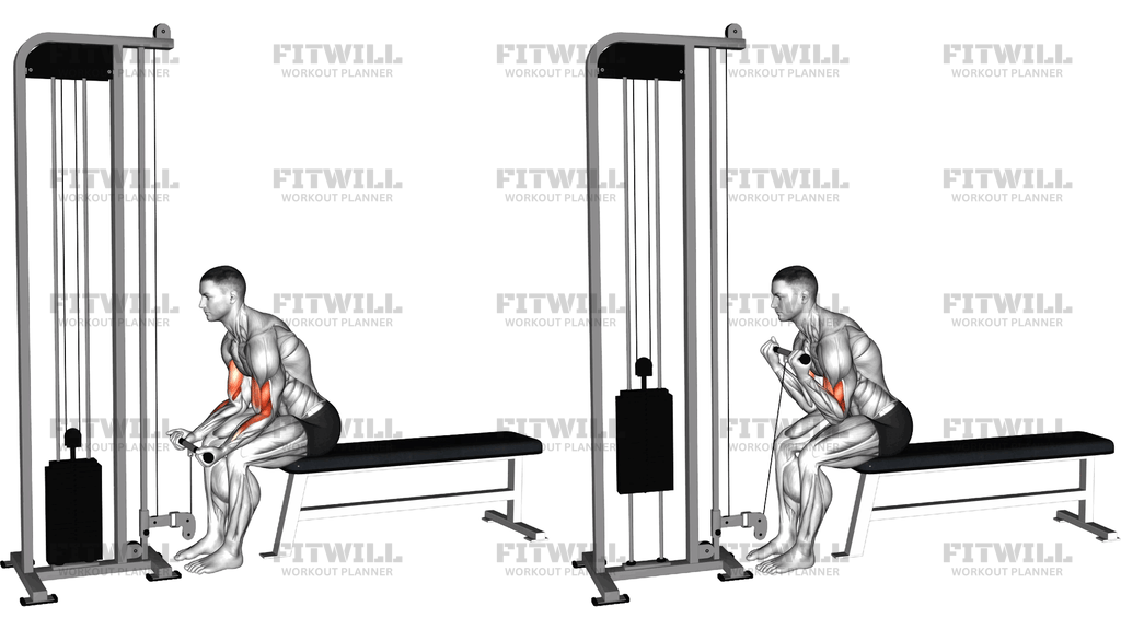 Cable Seated Curl