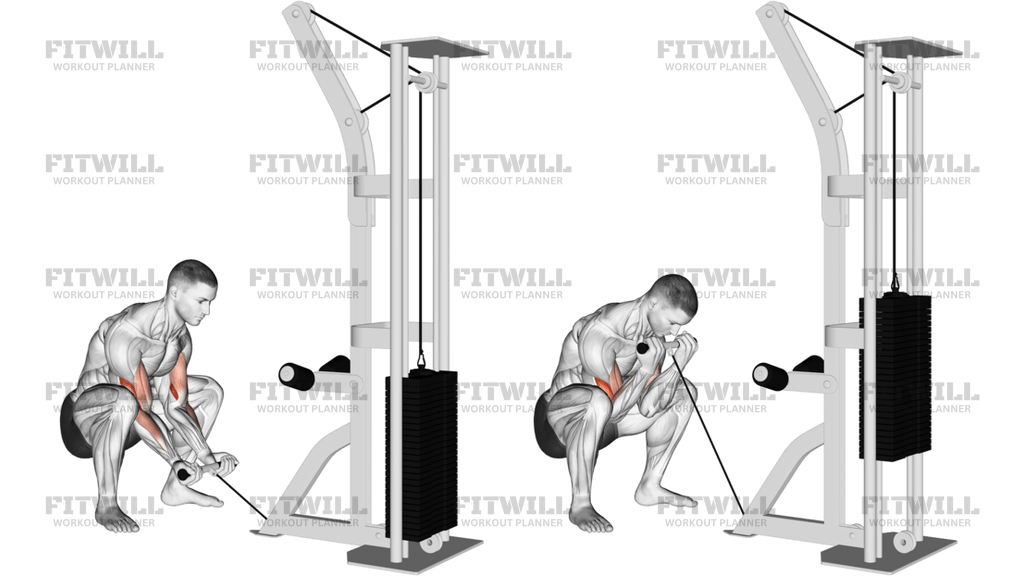 Cable Squatting Curl