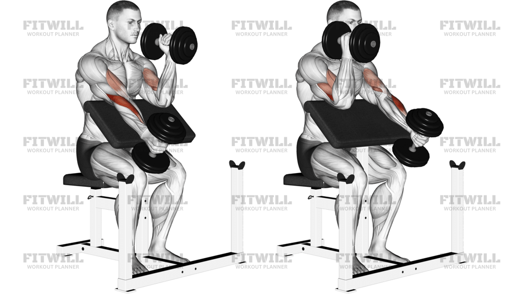 Dumbbell Alternate Hammer Preacher Curl
