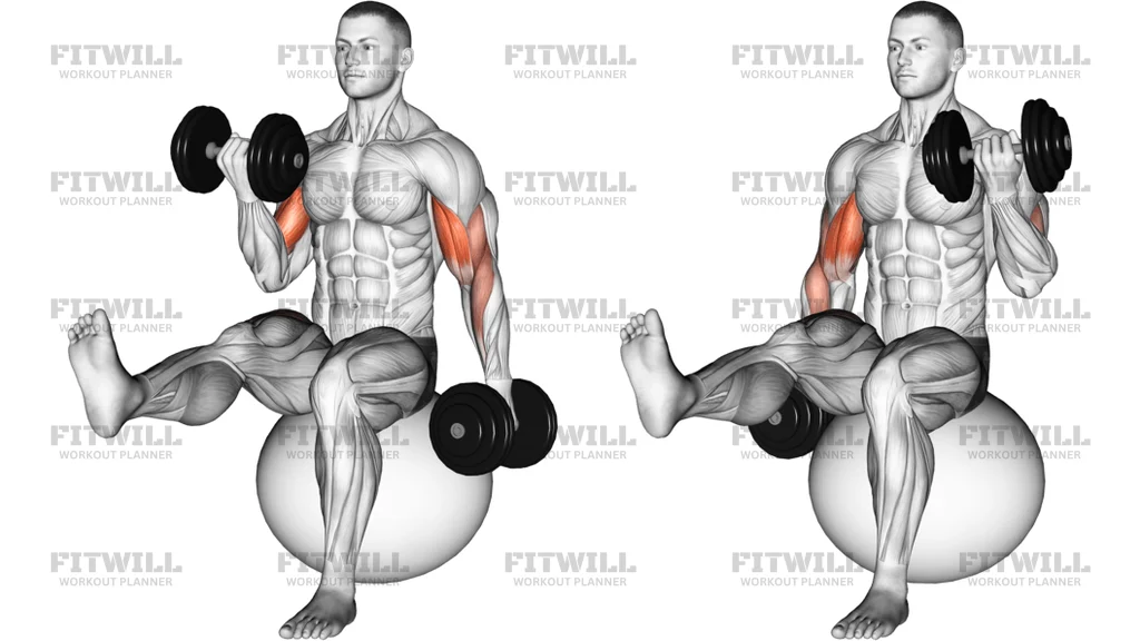 Dumbbell Alternating Bicep Curl With Leg Raised On Exercise Ball