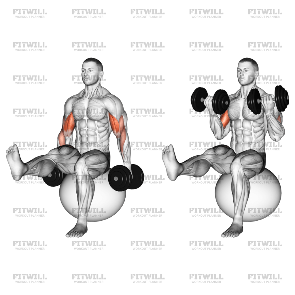 Dumbbell Bicep Curl On Exercise Ball With Leg Raised Exercise Guide Techniques Benefits How 6585