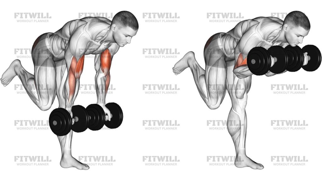 Dumbbell Bicep Curl With Stork Stance