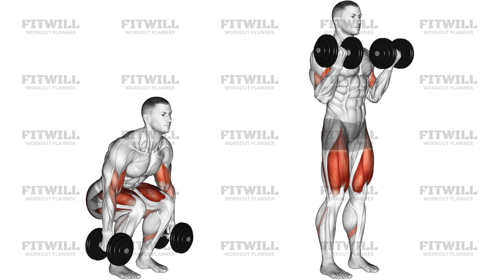 Dumbbell Biceps Curl Squat