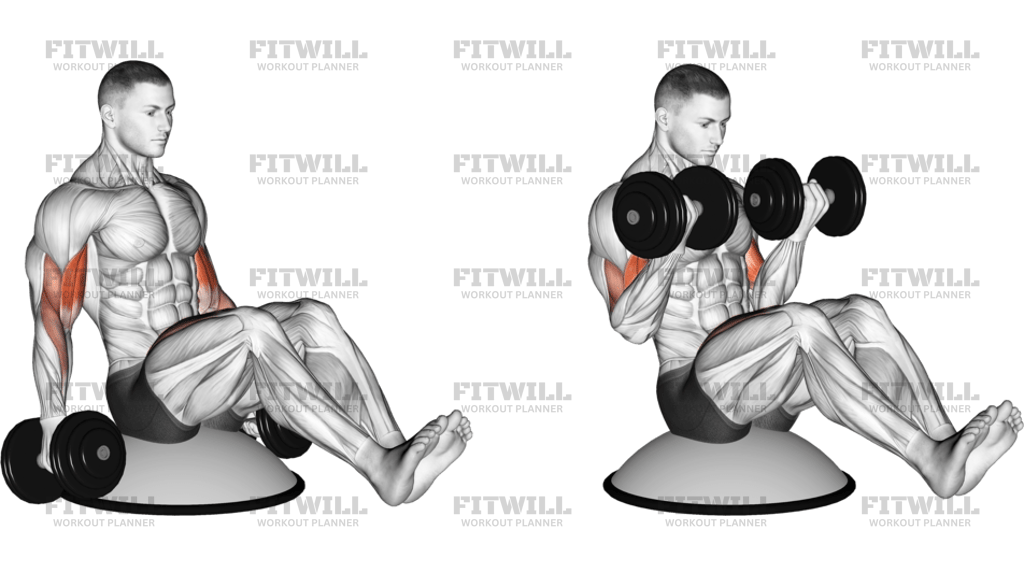 Dumbbell Biceps Curl V Sit On Bosu Ball