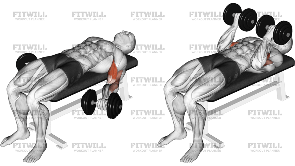 Dumbbell Lying Supine Biceps Curl